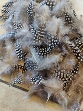 Mindestens 100 Perlhuhnfedern