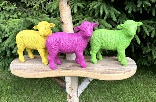 Bunte lämmer dekoration - bunte,