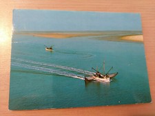 Postkarte Krabbenfischer