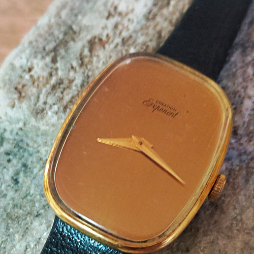 Creation exponem damen - exponem,