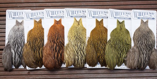 Whiting brahma hen cape - brahma, silver