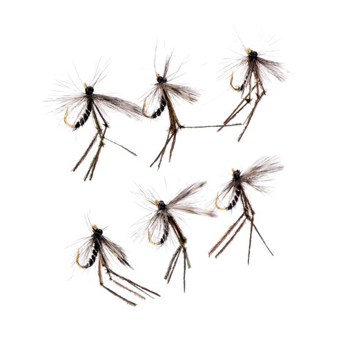 Stück fliegenfischen - 6,