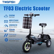 NEW TWOFISH Elektroroller with