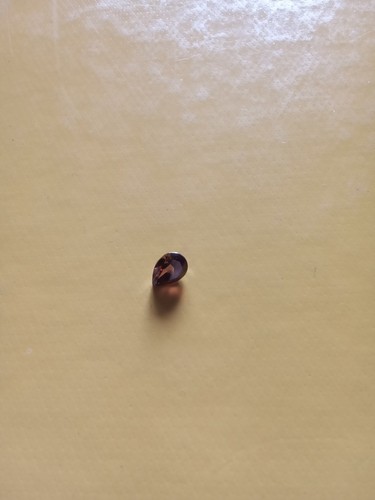 Zirkon edelstein 79 ct - zirkon,