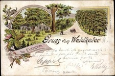 Litho Eldagsen Springe am