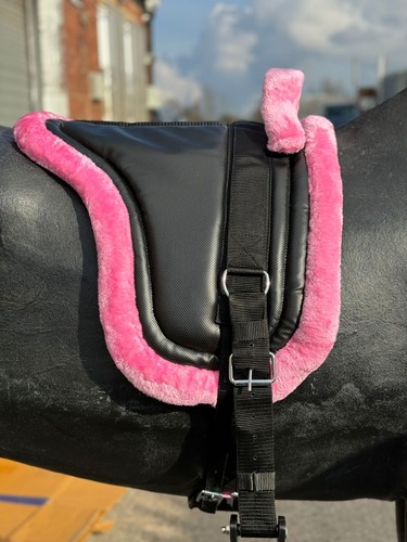 Equipride bareback - equipride,