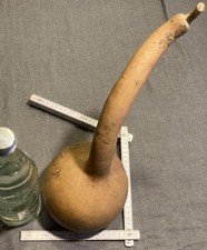 Kalebasse Flaschenkürbis für
