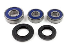 Radlager Satz 25-1358 hinten