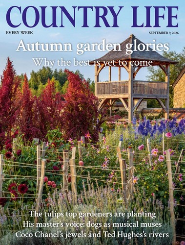 Country life magazine - life, 9