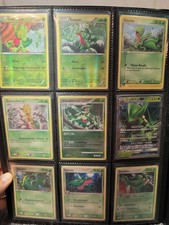 Pokémon Karten Geckabor,Reptain,Gewaldro