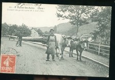 SALINS LES BATHS TRANSPORT