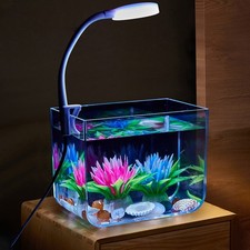 Mini Aquarium mit Klemmlicht