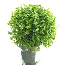 DPI Grünpflanze in Kugelform