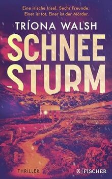 Schneesturm thriller kein - thriller,