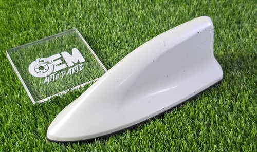 Toyota oem shark - shark, fin