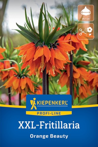 Kiepenkerl xxl kaiserkrone - kiepenkerl,