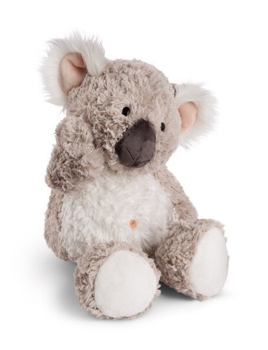 Nici auswahl koala karbor - auswahl,