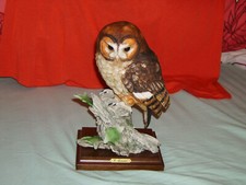 Jagd Jäger Raubvogel  G