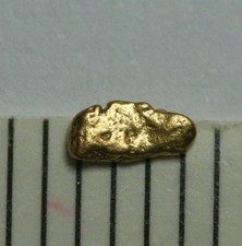 1 GOLDNUGGET- GOLD NUGGET aus