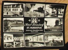 AK ~1960: Schönsee Schwansee Gasthof Hotel Hubertus Oberpfalz Oberpfälzer Wald
