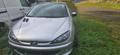 Peugeot 206 bastler - 206, cc