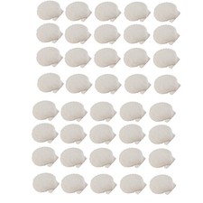 40 Stück Natürliche Jakobsmuscheln, 3,6-6,1 Cm, , Kleine Muscheln zum B4174