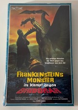 Frankensteins Monster im Kampf