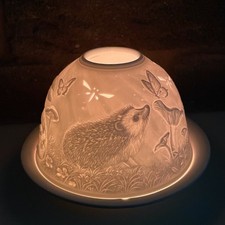 Dome Light Kuppellicht aus