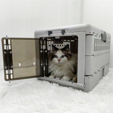 faltbar Transportbox Hunde Katzen Kaninchen Auto Box Katzenbox Grau Kleintier