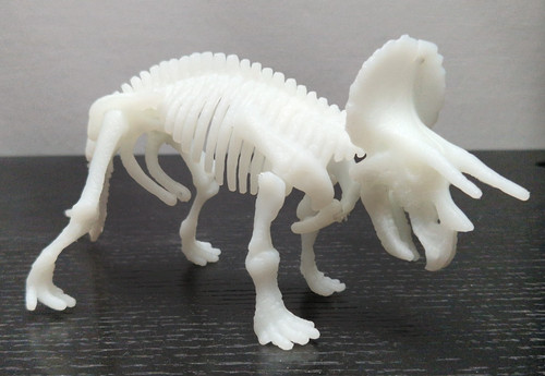 Triceratops dinosaurier dinp - dinosaurier,