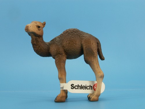 W120 schleich 14356 dromdear - schleich,