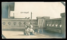 Little Boy with Dog on Balcony