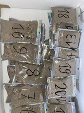 Special PayDirt Gold & Opale 