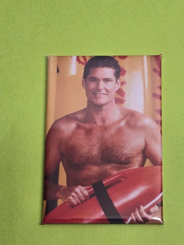 David hasselhoff magnet - hasselhoff,