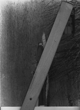 AMPHICAR  1965 Spielfilm Aushangfotos Dietmar Schönherr James Coburn