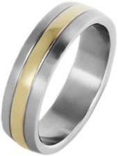 Titan Titanium Ring Fingerring