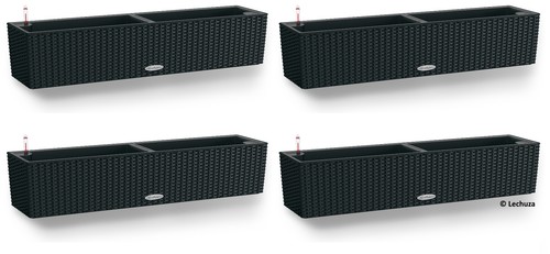 4er set lechuza - -,