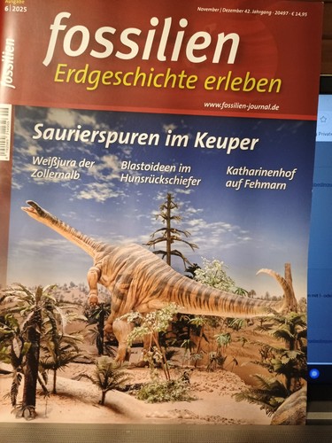 Fossilien erdgeschichte - fossilien,