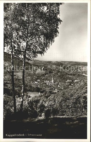 Kappelrodeck - ,