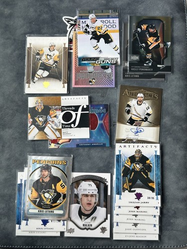 Pittsburgh penguins nhl - penguins,