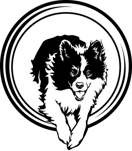 Border collie aufkleber - aufkleber,