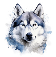 XXL 18X18 cm Autoaufkleber Siberian Husky Hund Auto Aufkleber Sticker