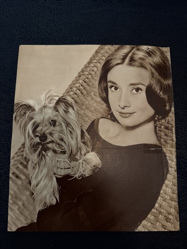 Foto audrey hepburn - foto,