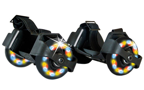 Schildkröt rollers - schildkröt, ,rollers