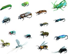 Fliegenfischen Fliegen