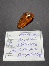 Bernstein, Goitzsche, Bitterfeld, Sachsen-Anhalt