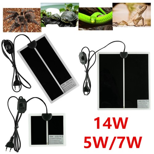 14w pet reptile - pet,