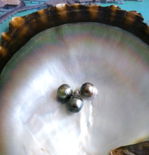 3 echte Barock Tahiti Perlen