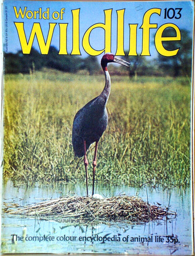World wildlife 103 - world,