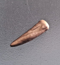 20 Stück Geweihspitzen Imitat